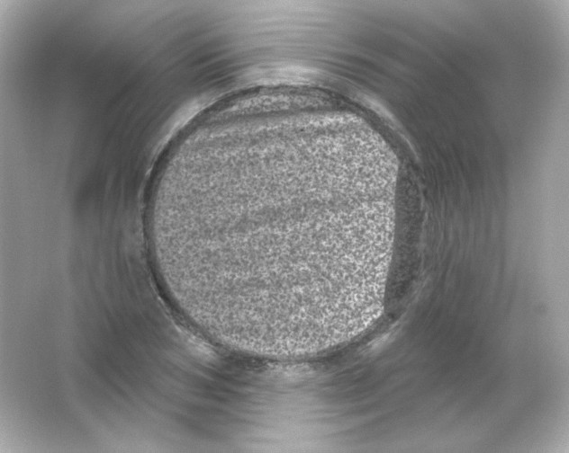 X0000065260978200603172226