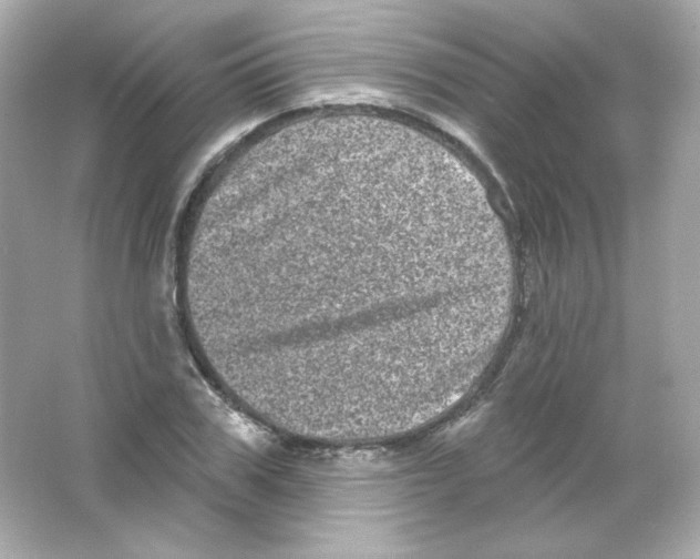 X0000065260979200603172226