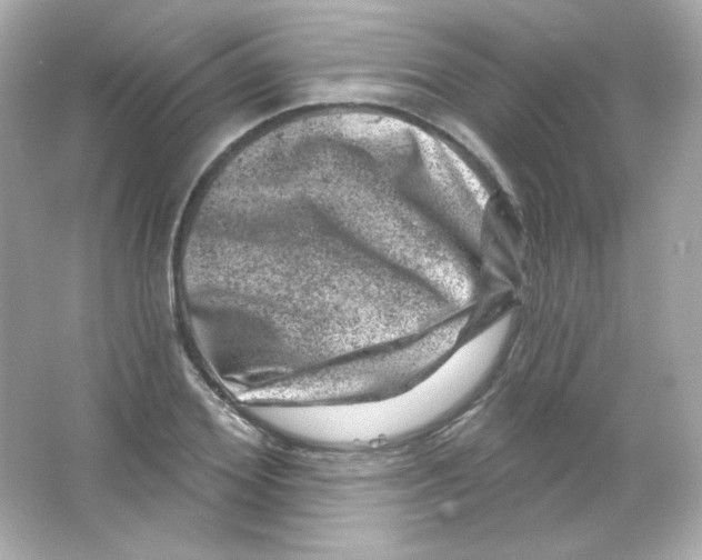 X0000065260980200603172226