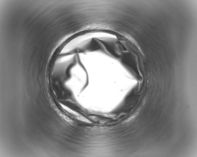 X0000065260981200603172226