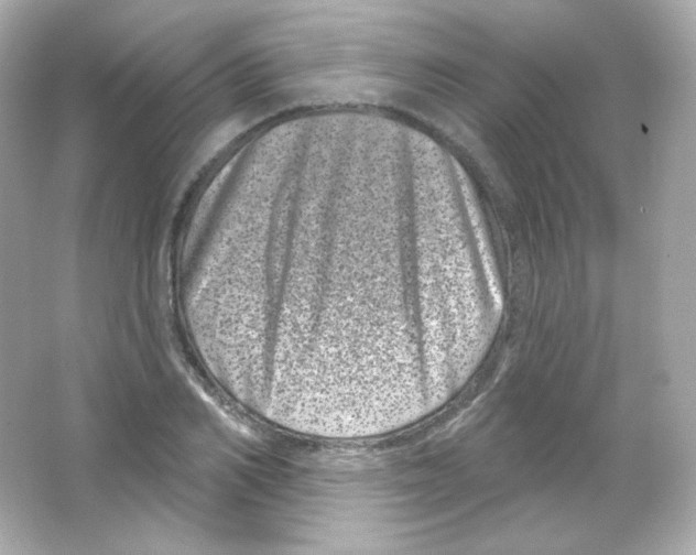 X0000065260982200603172226