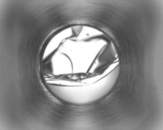 X0000065260984200603172226