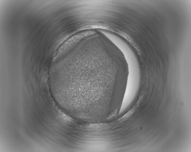 X0000065260985200603172226