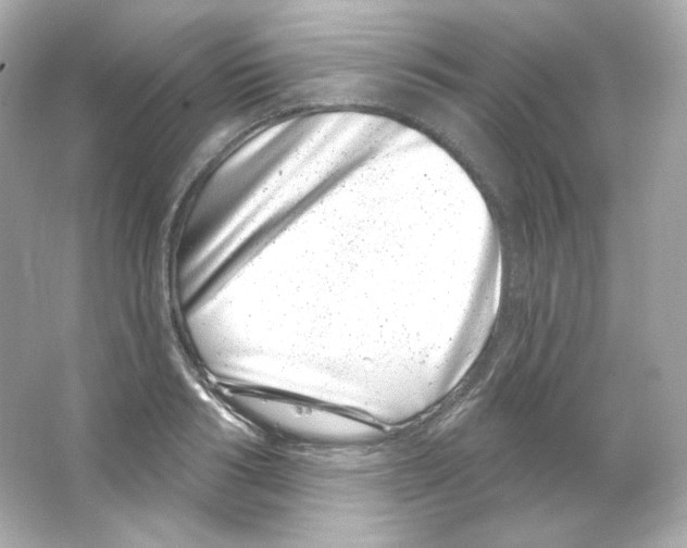 X0000065260986200603172226