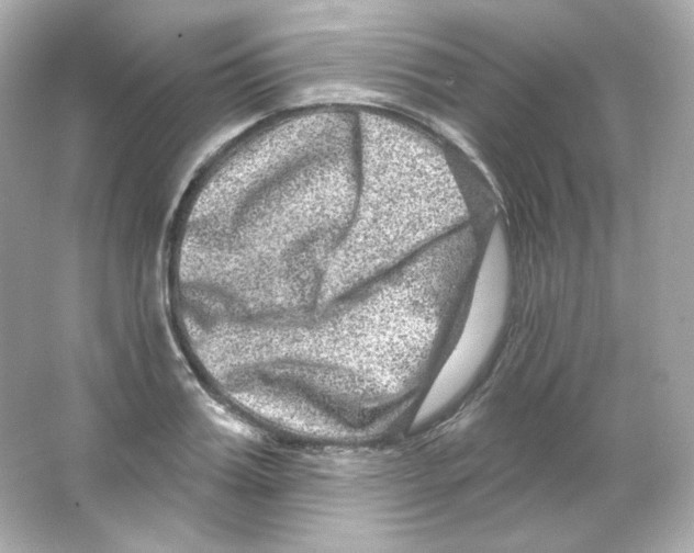 X0000065260987200603172226