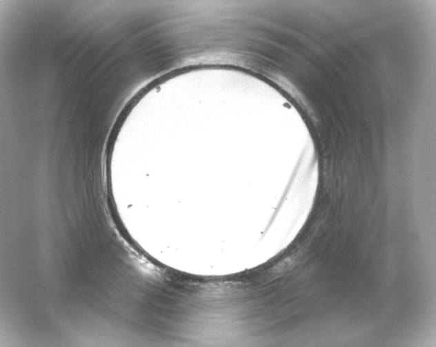 X0000065260988200603172226