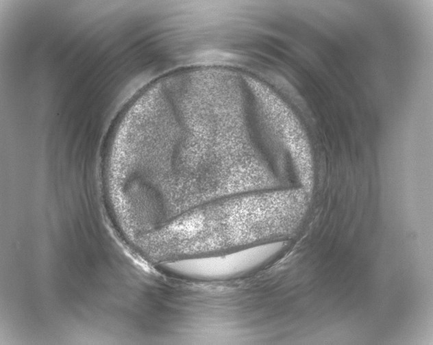 X0000065260990200603172226