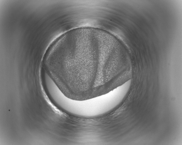 X0000065260991200603172226