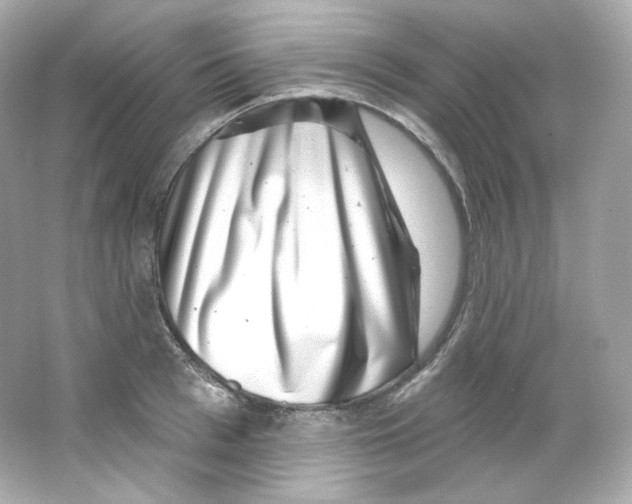 X0000065260993200603172226