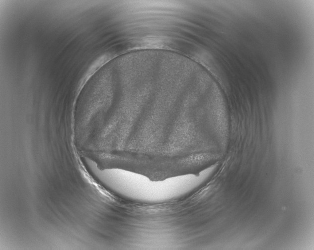 X0000065260994200603172226