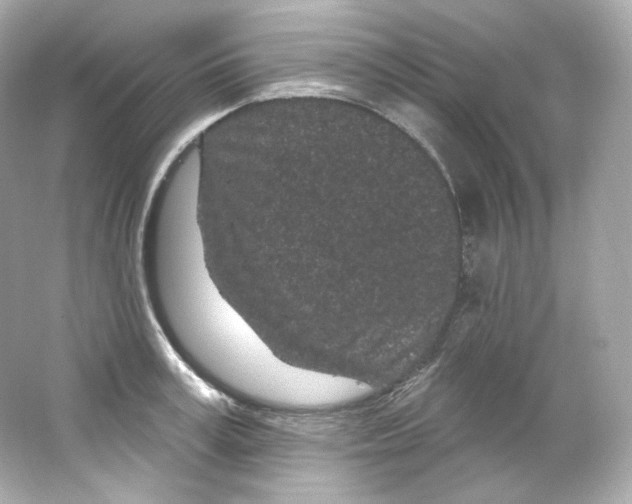 X0000065260995200603172226