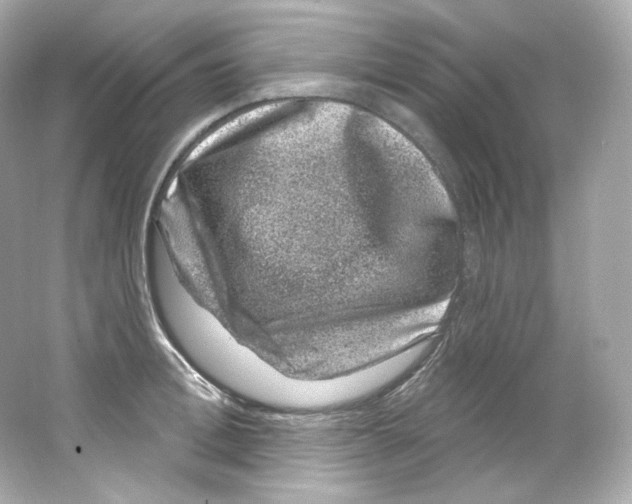 X0000065260996200603172226