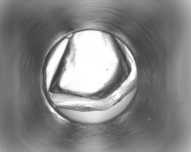 X0000065260999200603172226