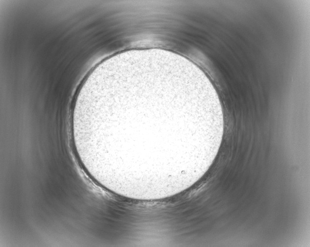 X0000065261000200603172225