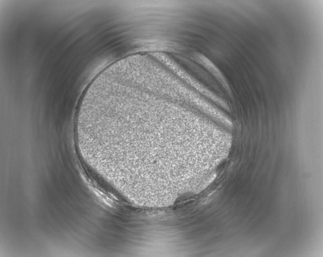 X0000065261002200603172225