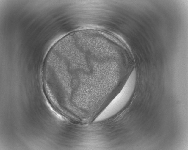 X0000065261003200603172225