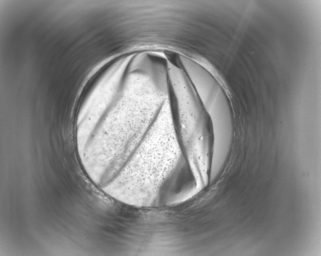 X0000065261004200603172225