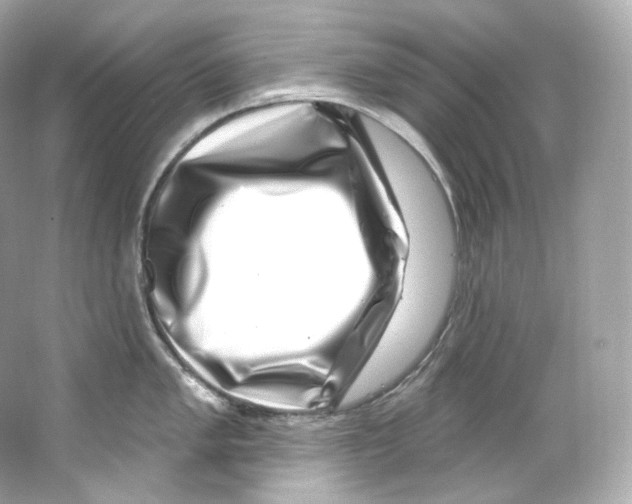 X0000065261005200603172225