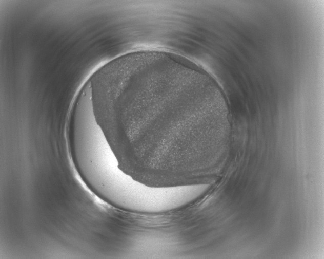 X0000065261007200603172225