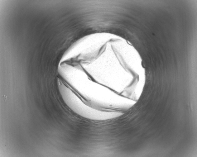 X0000065261012200603172225