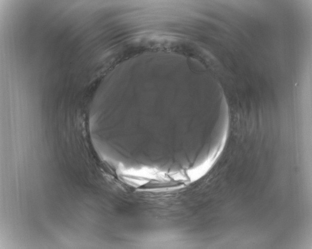 X0000065261013200603172225