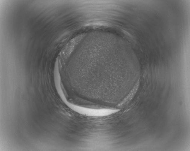 X0000065261014200603172225