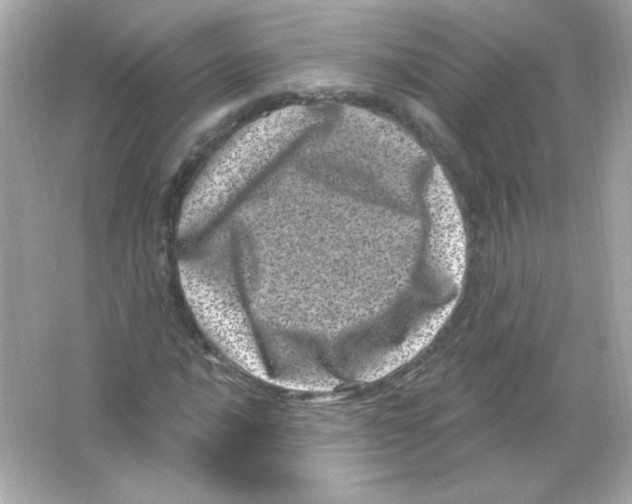 X0000065261016200603172225