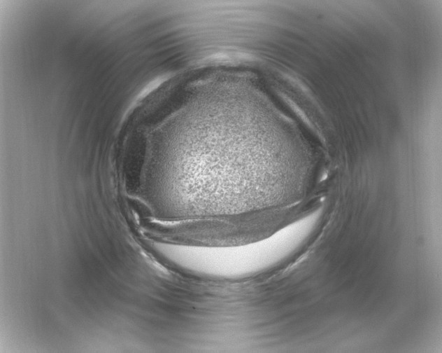 X0000065261018200603172225