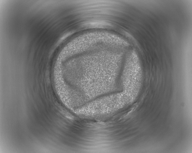 X0000065261019200603172225