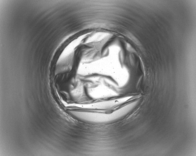 X0000065261020200603172225