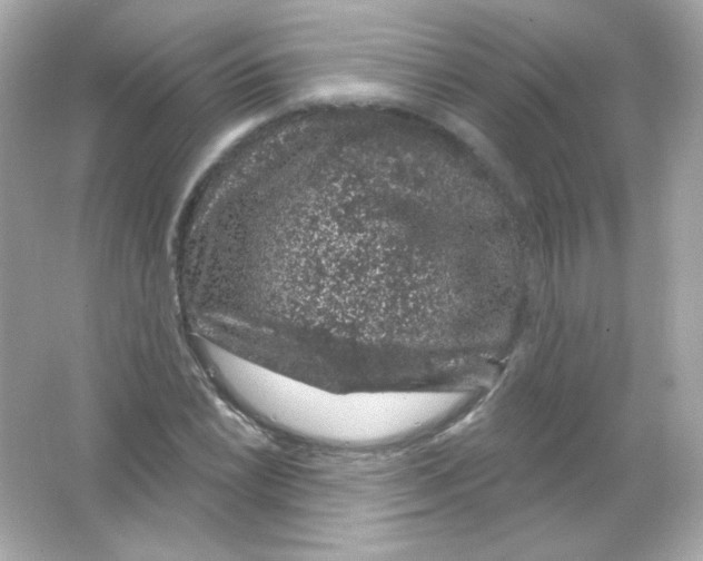 X0000065261022200603172225