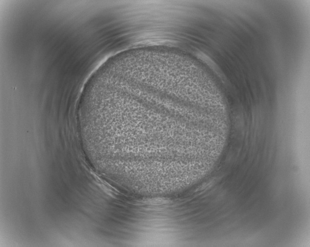 X0000065261023200603172225