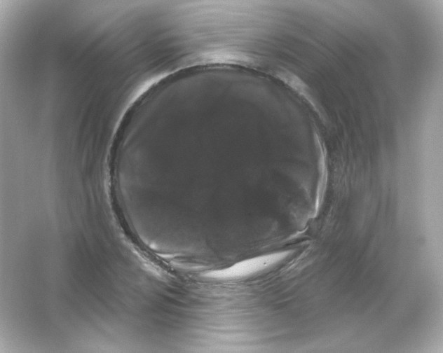 X0000065261024200603172225