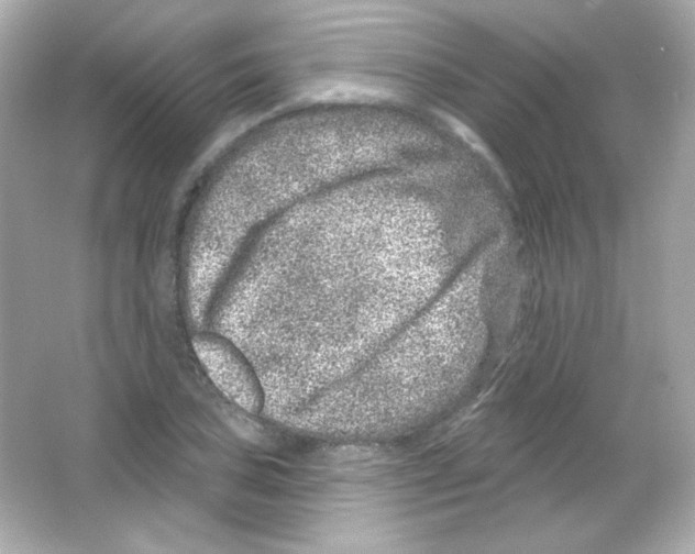 X0000065261027200603172225