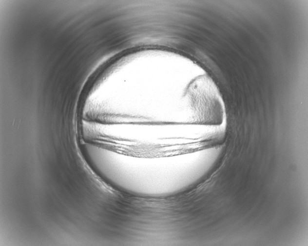 X0000065261028200603172225