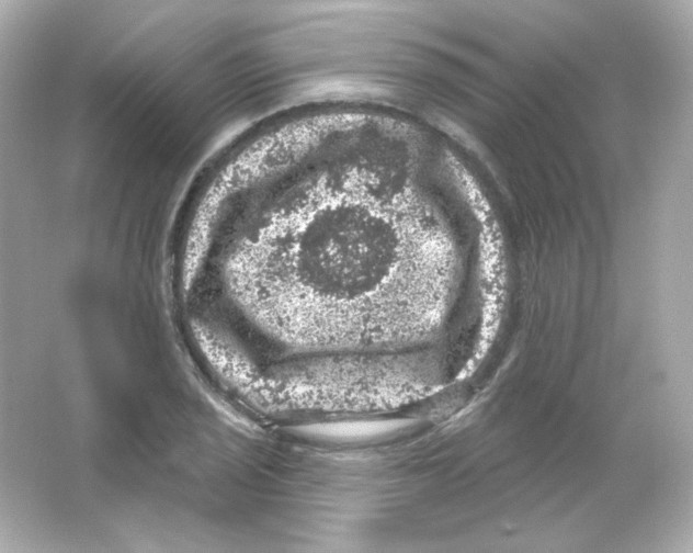 X0000065261029200603172225