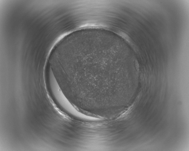 X0000065261030200603172225