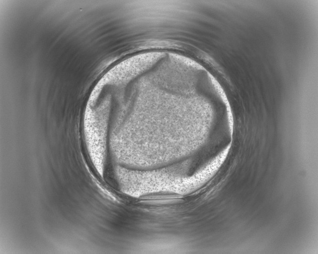 X0000065261033200603172225