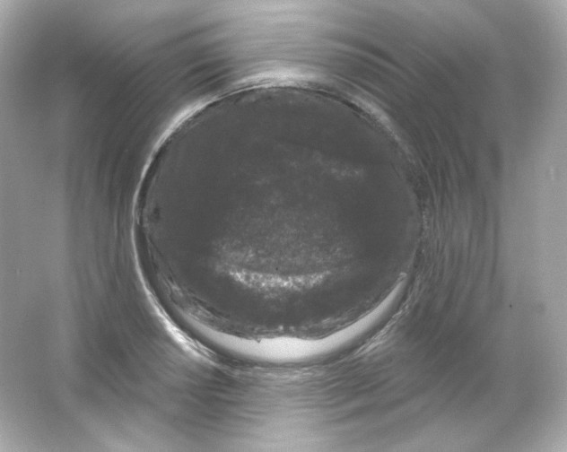 X0000065261034200603172225