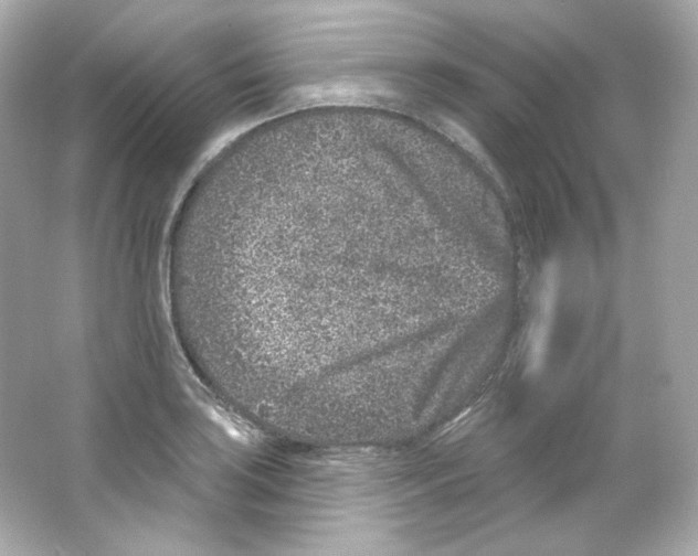 X0000065261035200603172225