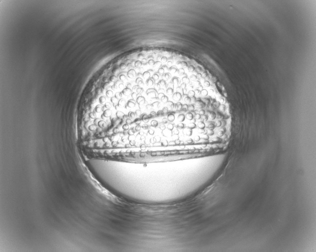 X0000065261036200603172225