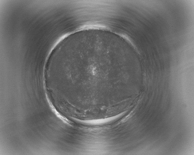 X0000065261038200603172225