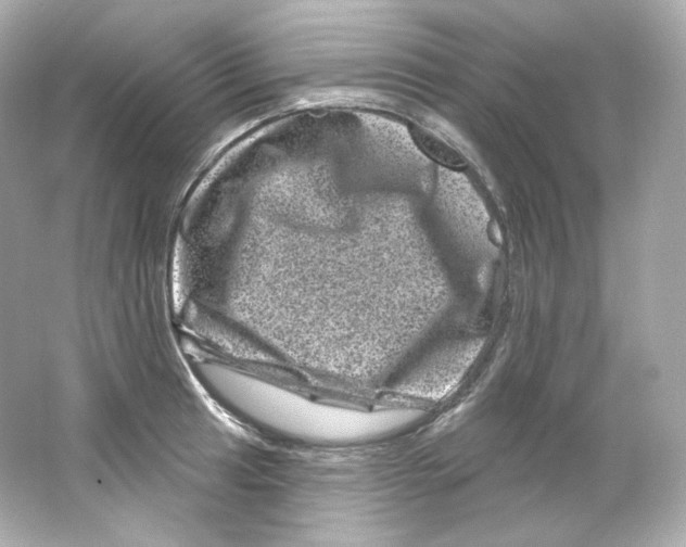 X0000065261041200603172225