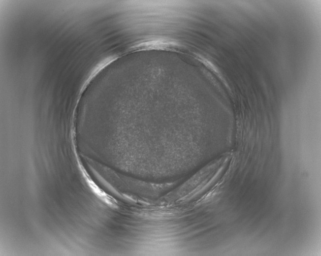 X0000065261042200603172225