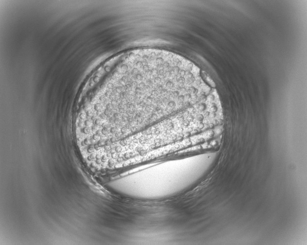 X0000065261044200603172225