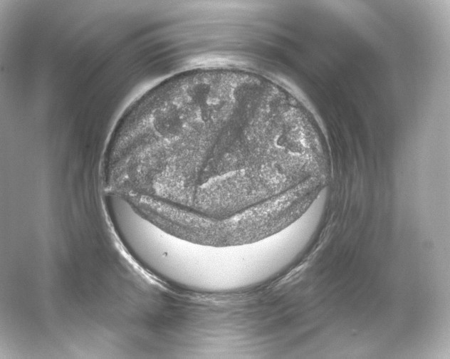 X0000065261045200603172225