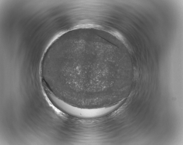 X0000065261046200603172225