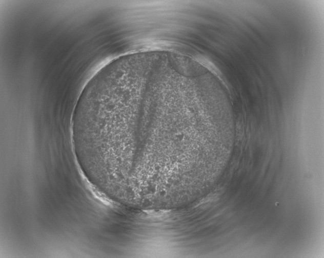 X0000065261047200603172225