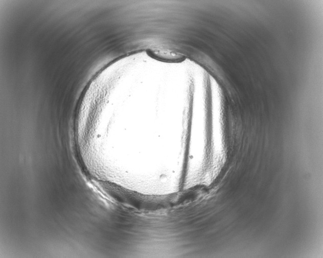 X0000065261048200603172225