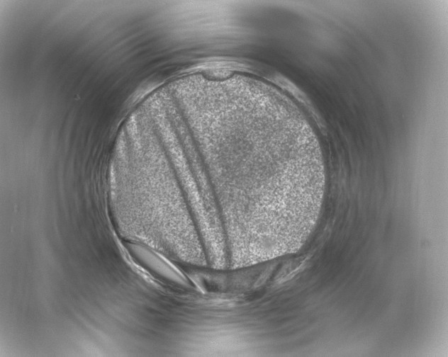 X0000065261049200603172225